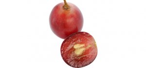 Grape Seed Extract สารสกัดจากเมล็ดองุ่น