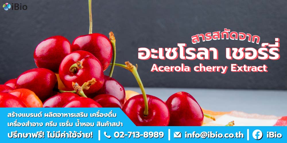 สารสกัดจากอะเซโรลาเชอร์รี่ สารสกัดจากอะเซโรลาเชอร์รี่
