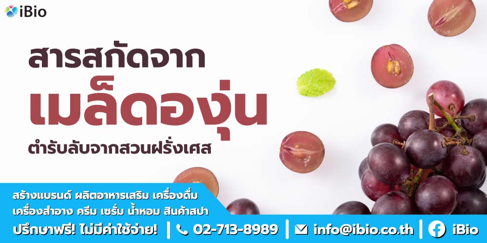 สารสกัดจากเมล็ดองุ่น
