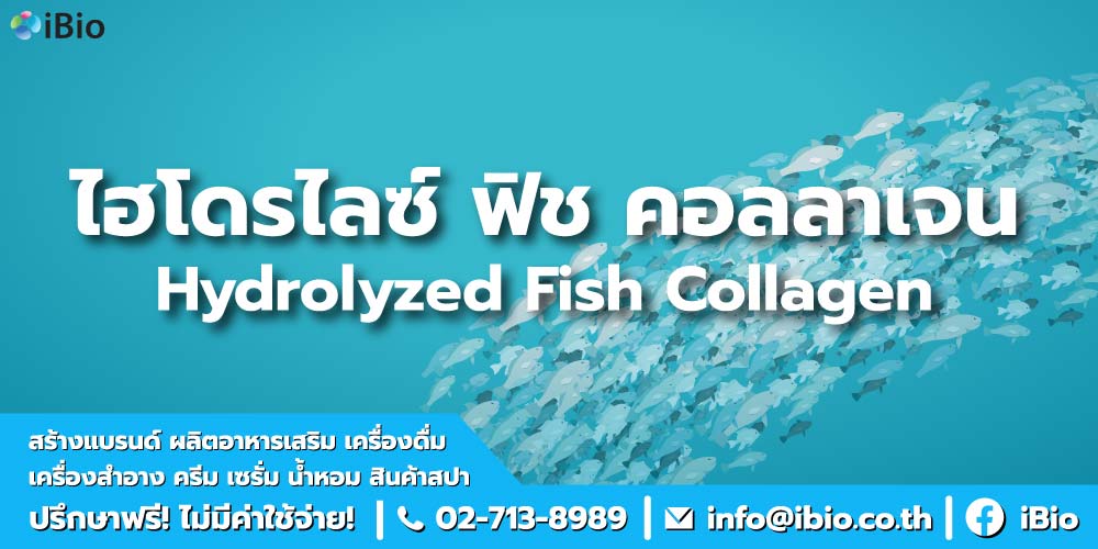 ไฮโดรไลซ์ ฟิช คอลลาเจน