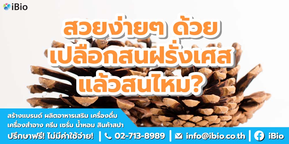 เปลือกสนฝรั่งเศส
