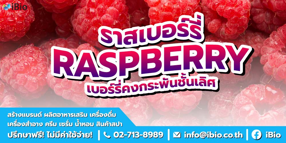 ประโยชน์ของราสเบอร์รี่ ประโยชน์ของราสเบอร์รี่