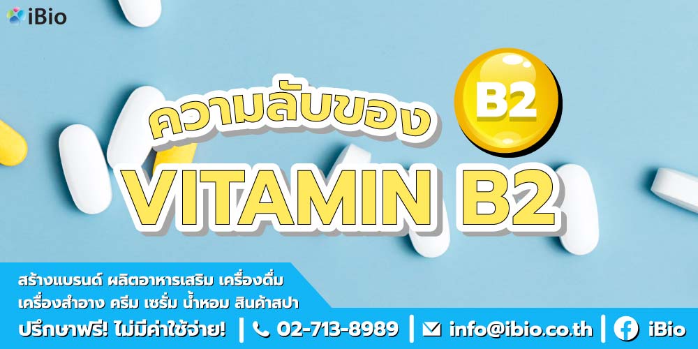 ประโยชน์วิตามินบีสอง