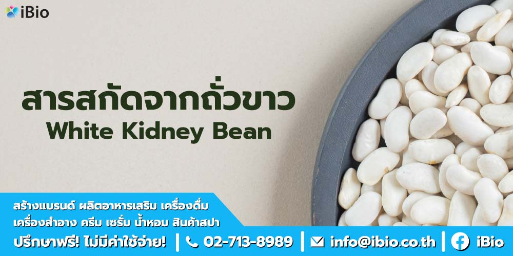 ประโยชน์ของถั่วขาว ประโยชน์ของถั่วขาว