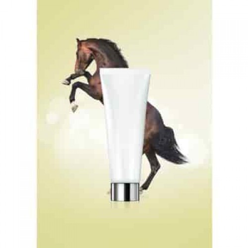  Horse Essence 