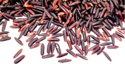 Khao-Hom-Nin Extract (สารสกัดจากข้าวหอมนิล)