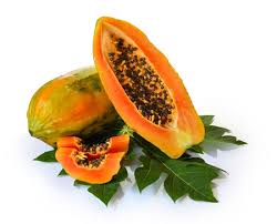Papaya Extract (สารสกัด มะละกอ)