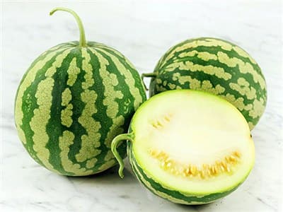 Kalahari melon