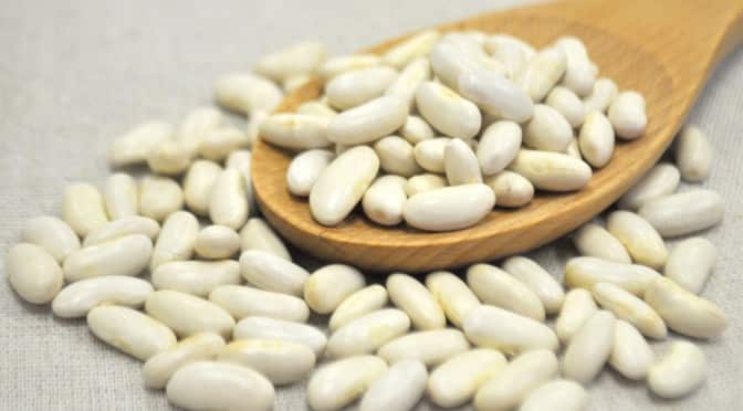 White Kidney Bean