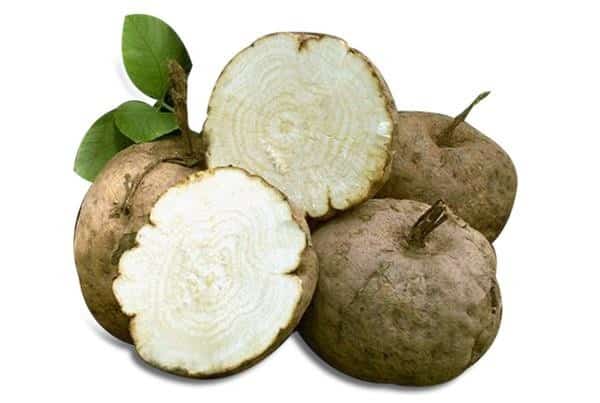 PUERARIA MIRIFICA (กวาวเครือขาว)