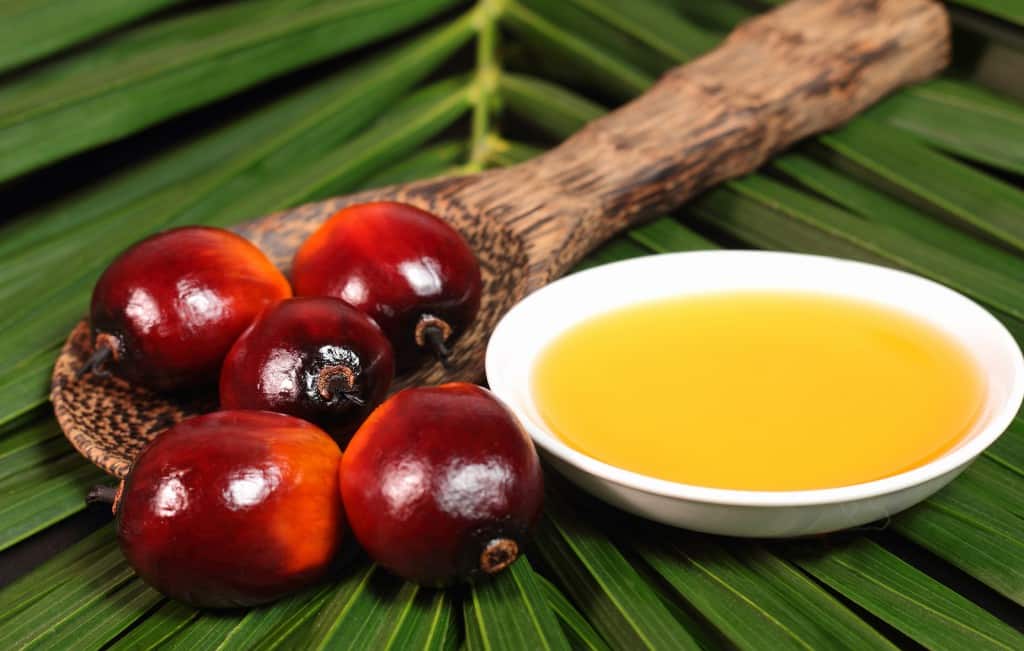 Elaeis guineensis oil (น้ำมันปาล์ม)