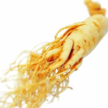 Panax Ginseng Extract  ( สารสกัดจากโสมเกาหลี )
